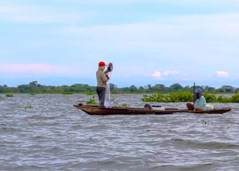 COP16 en Colombia | La gestión sostenible de la biodiversidad en la agricultura podría crear millones de nuevos empleos en la región