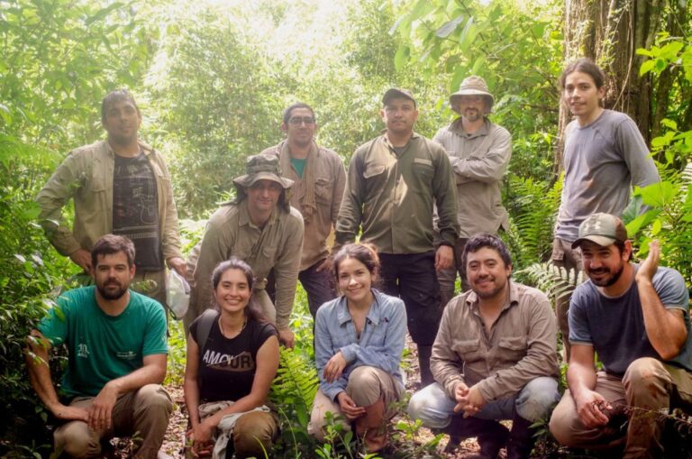 Compromiso con la Selva Misionera: ONG y universidad suman voluntarios para avanzar en la reforestación de áreas afectadas por incendios en la Reserva Guaraní