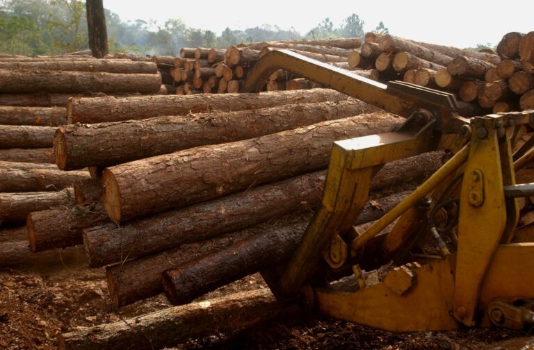Aserraderos PyMEs del sur de Misiones y NE Corrientes generan espacios de diálogo y nuevos estudios para analizar los problemas de abastecimiento de madera de pino  