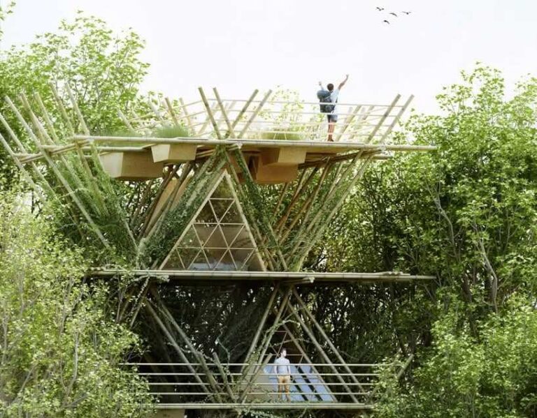 El bambú en la arquitectura sostenible: inspiración en casas verticales ecológicas