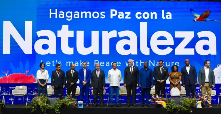 Liderando la biodiversidad mundial como sede de la COP-16, Colombia se propone reducir la deforestación, recuperar de fuentes hídricas y avansar en proyectos de energía renovables