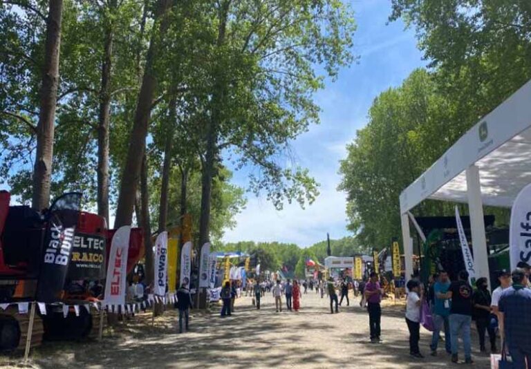 La industria forestal de la región se prepara para la gran feria internacional chilena ExpoCorma 2024