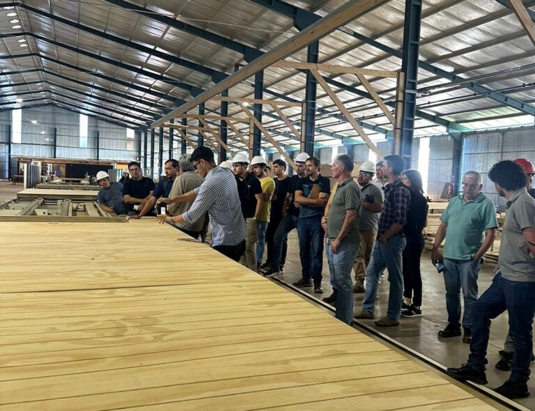 Avances en la Diplomatura de Diseño y Construcción Eficiente con Madera: teoría, práctica y visitas en plantas industriales de Misiones