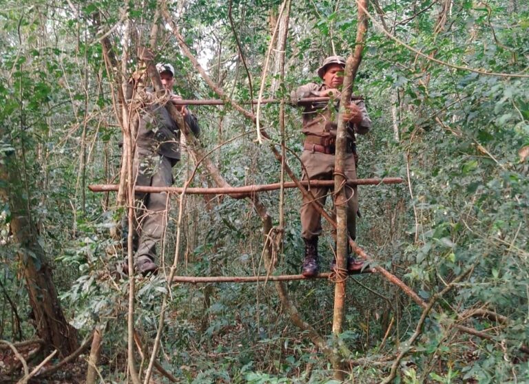 Misiones | Alerta por la creciente violencia y organización de cazadores furtivos en la frontera con Brasil