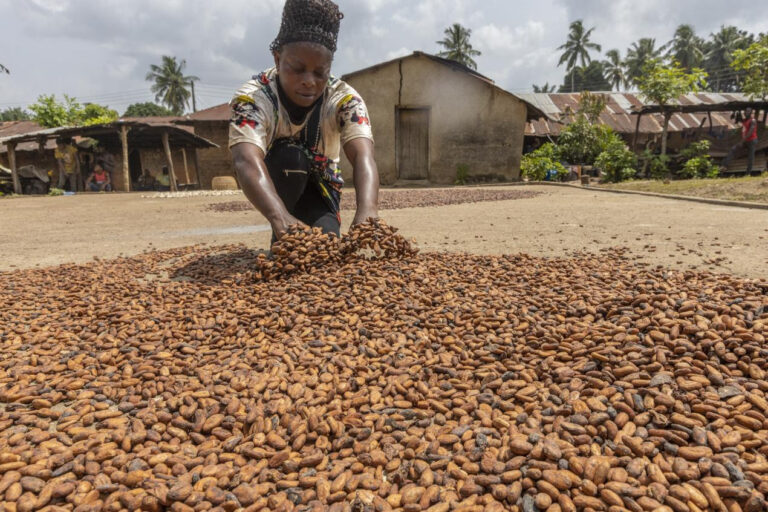 Desarrollo rural | Desde el FIDA inviertieron más de 1.280 millones de dólares en programas de apoyo a pequeños productores para adaptación climática y seguridad alimentaria