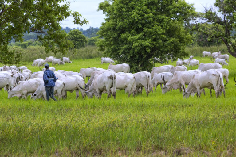 Desarrollo rural | El FIDA insta a triplicar la inversión en las zonas rurales para dinamizar los mercados y la agroindustria en América Latina