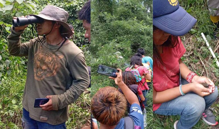 Certificación de competencias en biodiversidad: se realizará una jornada clave para el reconocimiento de saberes de jóvenes Mbya Guaraní en Misiones