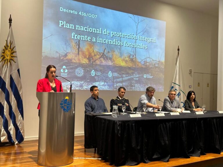 Uruguay | Lanzaron un plan integral de protección contra incendios : «La imprudencia, el descuido y la intencionalidad son conductas penadas por ley», advirtieron