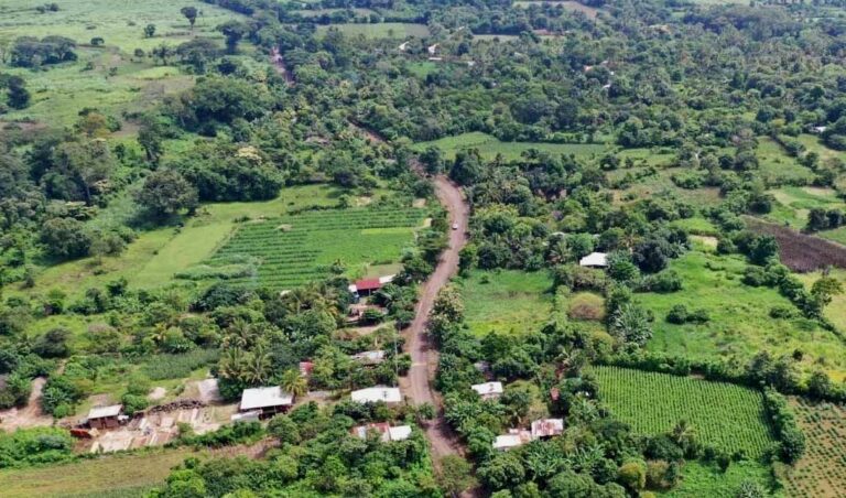 El Salvador | Experiencias positivas de restauración de ecosistemas en un corredor biológico para proteger la biodiversidad en conexión con las personas