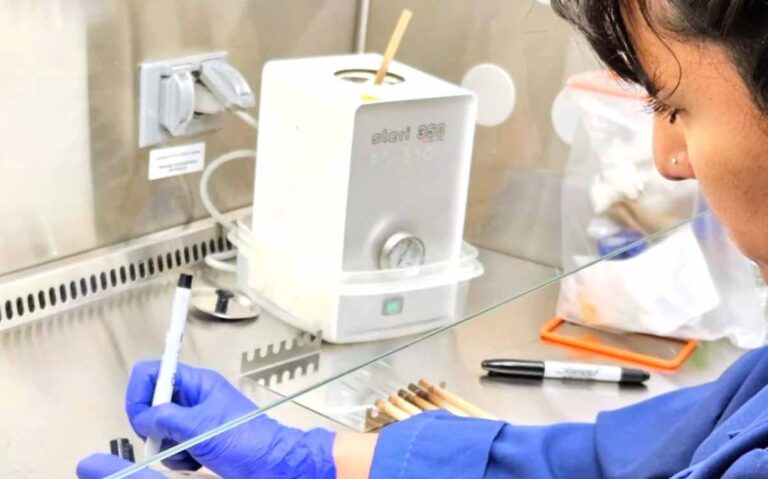 CIEFAP y Fundación Williams impulsan investigación innovadora para proteger los bosques de lenga