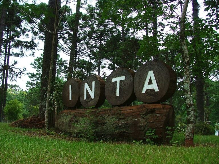 Plan de ajuste en el INTA: trabajadores denuncian plan oficial para vender 100.000 hectáreas de tierras públicas y recortar 1.500 puestos