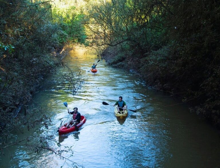 Turismo sostenible | Descubre la magia de Moconá Virgin Lodge en Misiones, 10 años de historia en el corazón de la reserva de Biosfera Yabotí