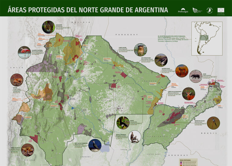 Con 180 áreas protegidas y 14 millones de hectáreas en conservación en el Norte Grande, se impulsa el cumplimiento de la Meta 30×30 en Argentina