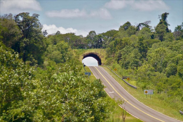 Destino naturaleza | En vacaciones de invierno el turismo sustentable se presenta como alternativa para disfrute y desarrollo local