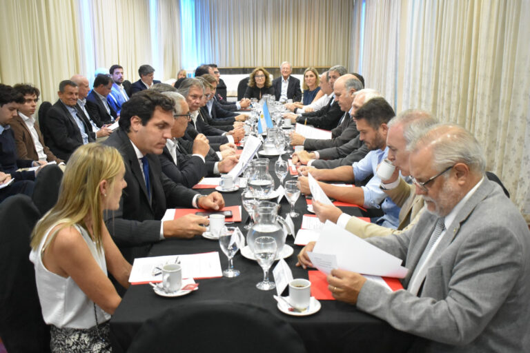 Mesa Nacional Foresto-Industrial: El 2024 cerró con deudas pendientes de planes otorgados por la Ley 25.080 y sin soluciones sobre el financiamiento