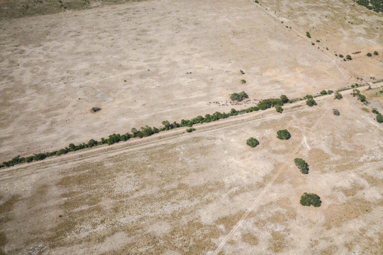 Santa Fe | La Nación declaró la emergencia agropecuaria por sequía en la provincia