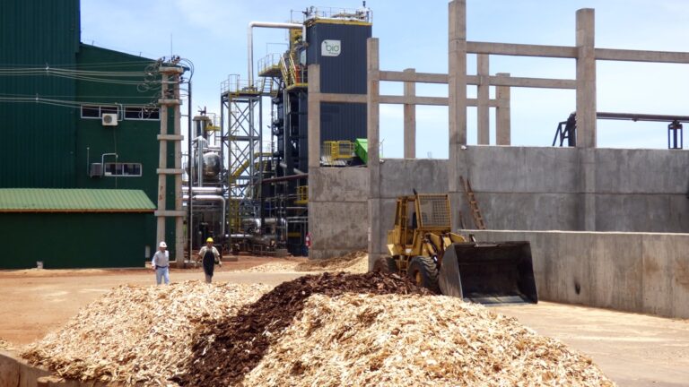 Toll Maderas invierte USD 42 millones en modernas plantas de bioenergía y producción de tableros fenólicos, expandiendo su PyME con visión sostenible del negocio forestal