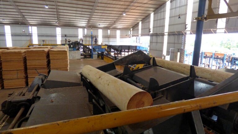 Misiones | Se levantó la asamblea de un grupo de trabajadores en Toll Maderas tras aclarar pagos de asignaciones familiares del último mes