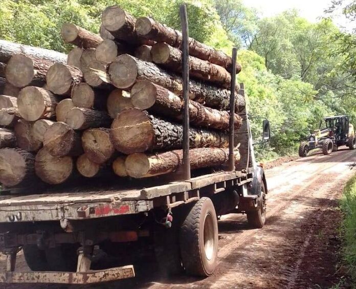 Transporte Cosecha Forestal