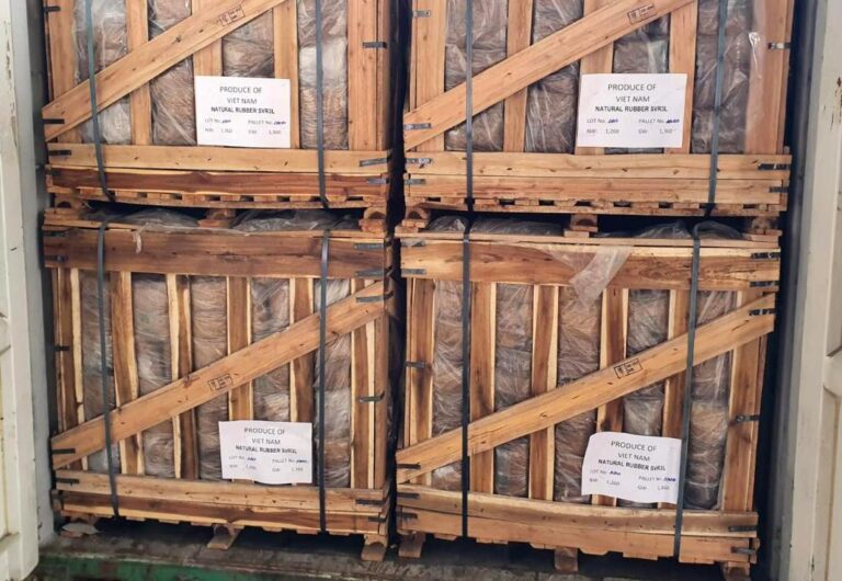 SENASA evitó el ingreso de plagas en embalajes de madera de mercadería de importación
