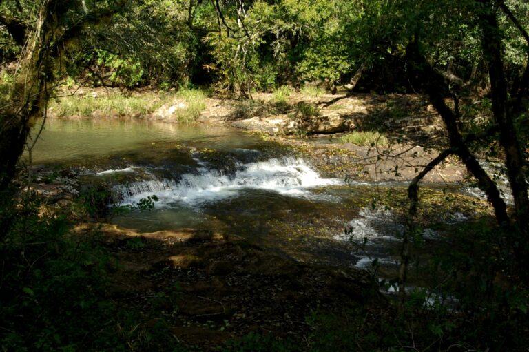 Argentina, Brasil, Paraguay y Uruguay unidos por el agua del Acuífero Guaraní avanzan en un proyecto de monitoreo y cooperación transfronteriza