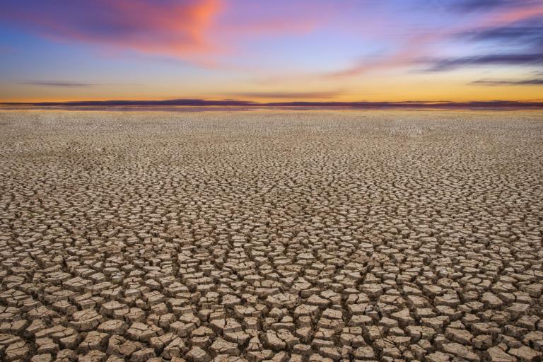 Emergencia climática | La Organización Meteorológica Mundial confirma que 2024 fue el año más cálido jamás registrado al superar en cerca de 1,55 °C los niveles preindustriales