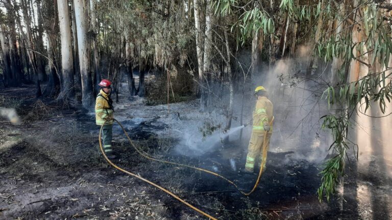 Misiones y Corrientes con focos activos y en alerta por el peligro muy alto y extremo de riesgo de propagación de incendios