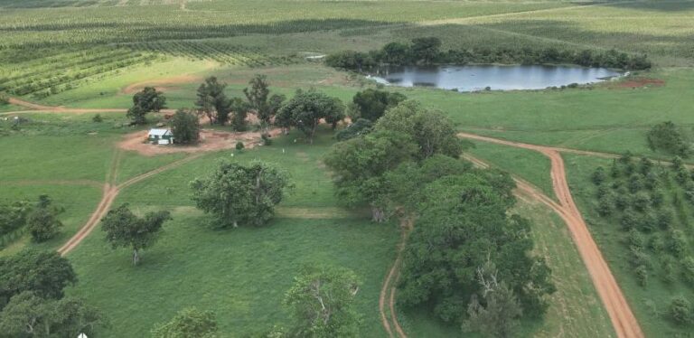 Corrientes | ProSustentia celebra su segundo proyecto forestal registrado en Verra