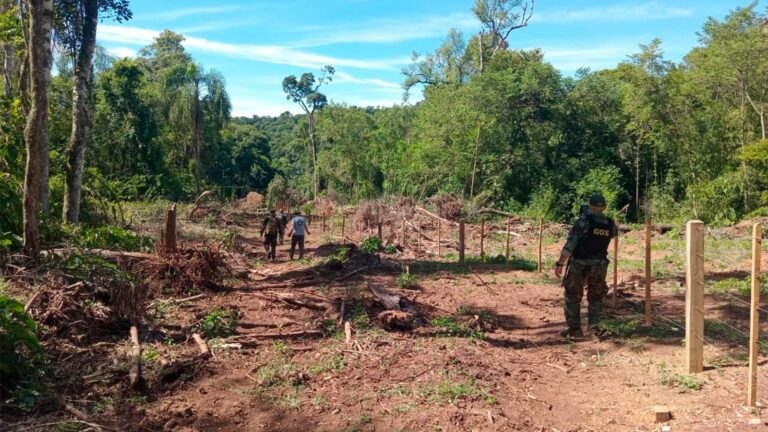 Misiones | Ante el avance de tala ilegal sobre el Parque Provincial Piñalito refuerzan vigilancia en el área protegida
