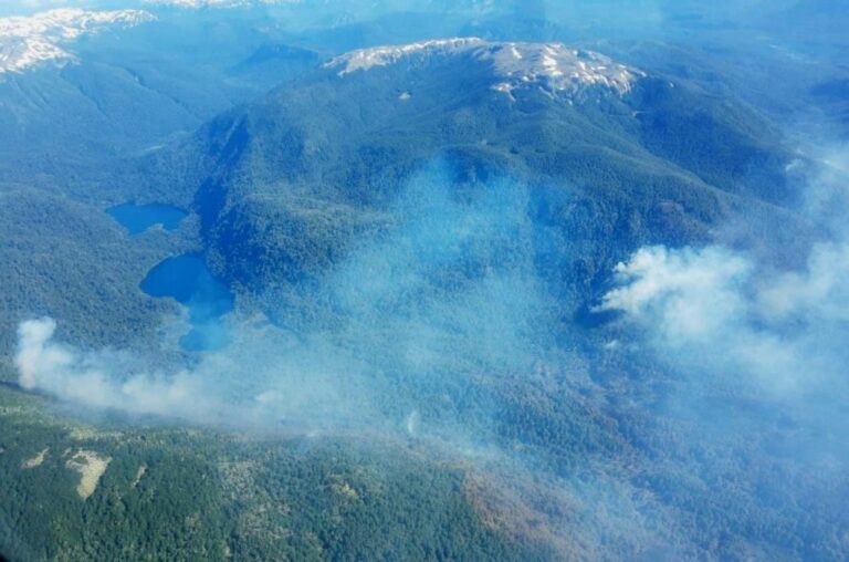 Río Negro | El incendio forestal en el Parque Nahuel Huapi se podría extinguir recién en abril, advierten desde Greenpeace
