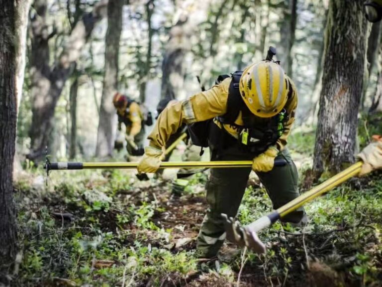 Incendio forestal en el Parque Nacional Nahuel Huapi: más de 3.500 hectáreas de bosques arrasadas tras tres semanas de combate contra el fuego