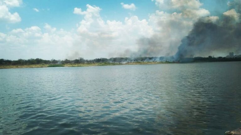 Paraguay | INFONA registró casi 50 mil hectáreas del país afectadas por incendios forestales en lo que va de enero