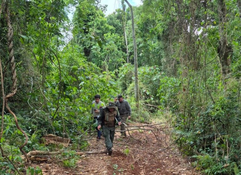 Misiones | Guardaparques exponen debilidades en el sistema provincial de áreas protegidas: “Falta personal, recursos y planificación en la conservación”
