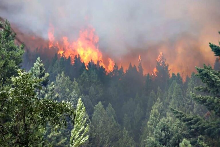 Neuquén será sede del Congreso Internacional “Patagonia, más allá del fuego” con la participación de expertos de Canadá, España, Chile y Argentina