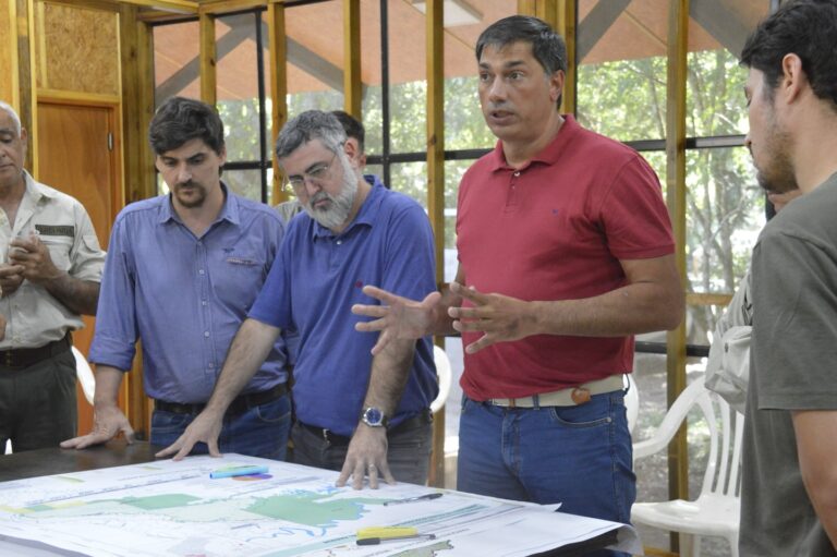 Misiones | Comité de Crisis en Urugua-í avanzará con un censo y mapa de puntos críticos para combatir la tala ilegal
