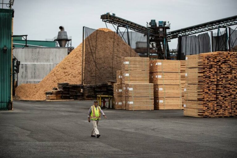 Incertidumbre en el sector forestal de Columbia Británica tras el arancel a la importación de productos de madera que aplicará EEUU