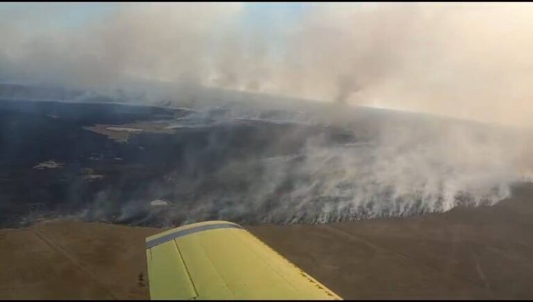 Alerta roja en Corrientes | Los incendios ya afectaron más de 25.000 hectáreas y continuan trabajando en dos grandes focos para contener las llamas 