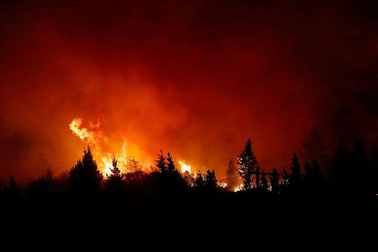 Graves incendios forestales en la Patagonia: casi 25 mil hectáreas ya fueron consumidas por el fuego en Chubut, Río Negro y Neuquén
