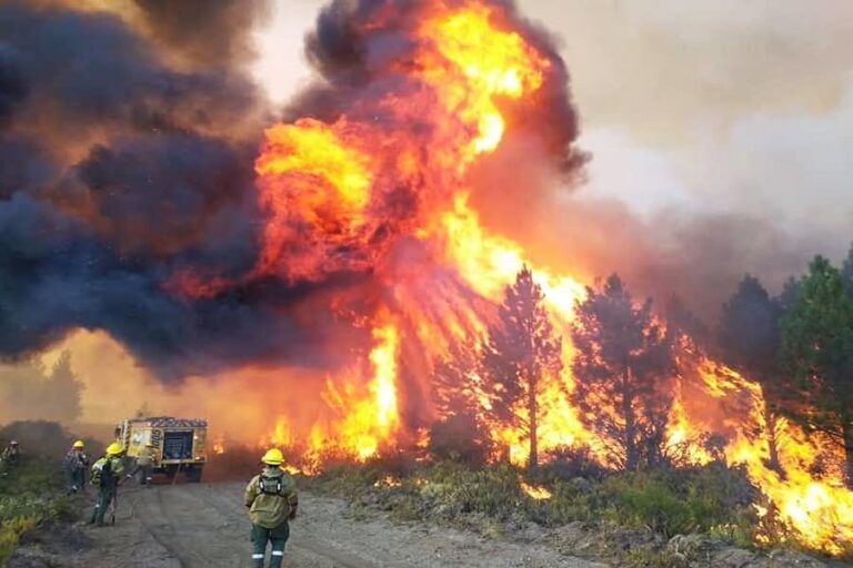 La opinión pública alza la voz a través de las plataformas e impulsan soluciones para combatir los incendios forestales y proteger el ambiente