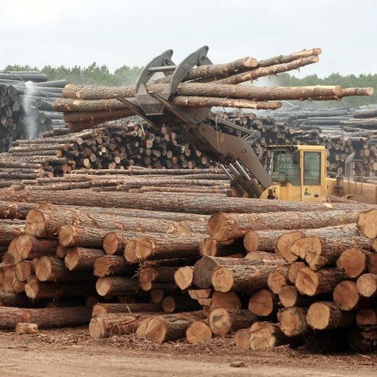 Weyerhaeuser consolida su liderazgo con sólidos resultados y nuevas oportunidades de crecimiento