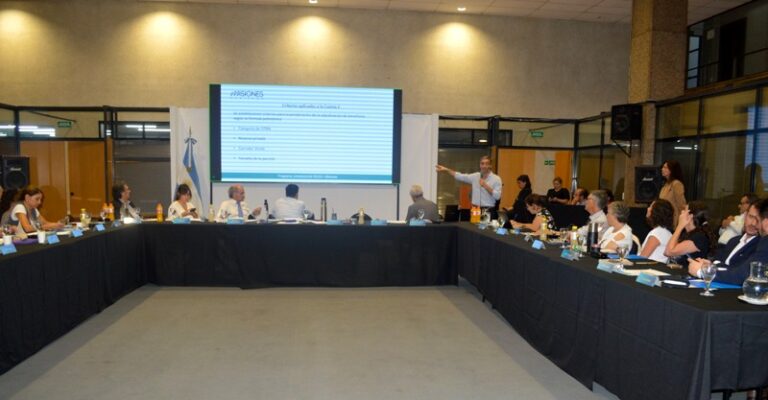 Misiones expone los beneficios de su Programa Jurisdiccional REDD+ de Créditos de Carbono ante autoridades ambientales del país
