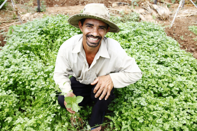 Brasil | Invertirán 150 millones de dólares en programa de desarrollo sostenible en el Bosque Atlántico para fortalecer la agricultura familiar en Bahía