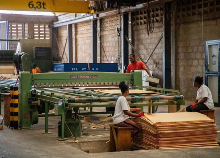 Maderas tropicales | El Índice Mundial de la Madera de ITTO muestran señales recuperación en los mercados en Asia, África y América Latina
