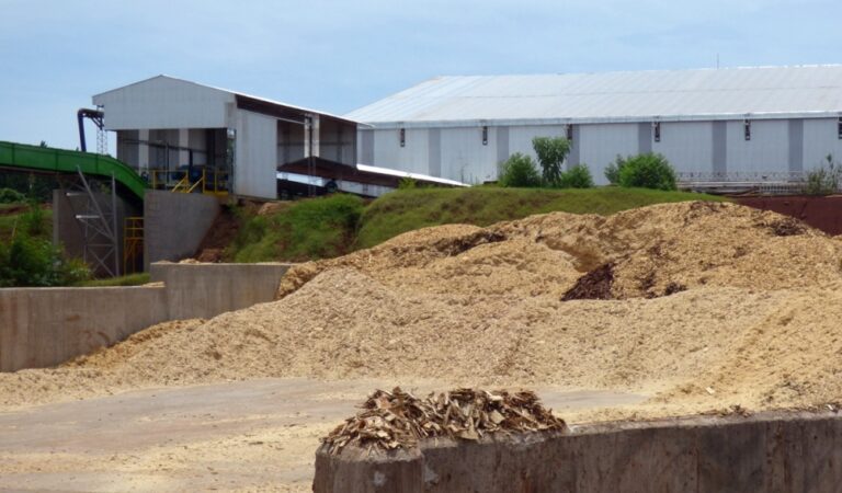Biorrefinerías y generación energética: una oportunidad de desarrollo con la biomasa forestal en el NEA