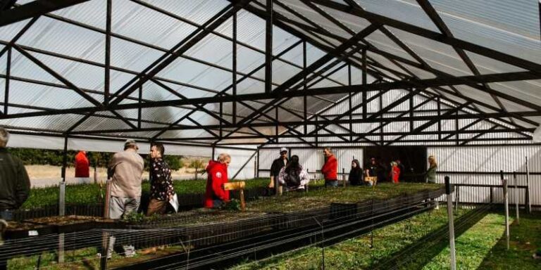 Chubut | Se inauguró el primer vivero provincial dedicado a la producción de especies nativas en El Maitén