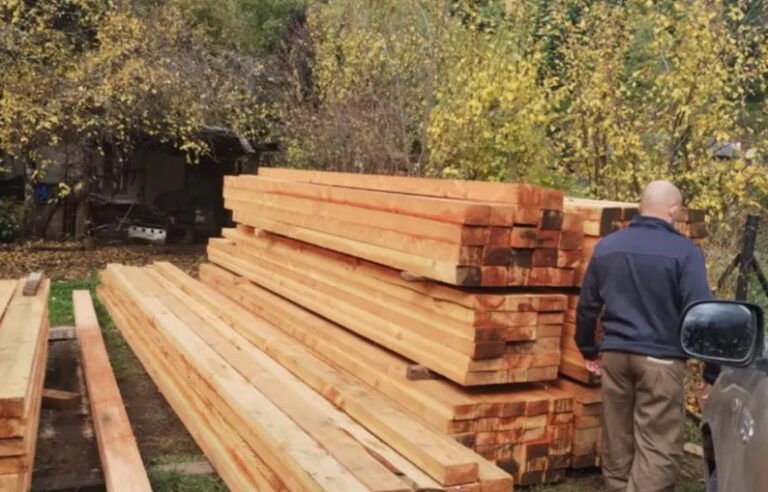 Avanzan en operativos contra la tala ilegal de madera en áreas protegidas en la región patagónica