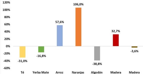 Informe IERAL NEA | Aumentan las exportaciones de madera en el primer bimestre de 2025, pero bajan las de yerba y té