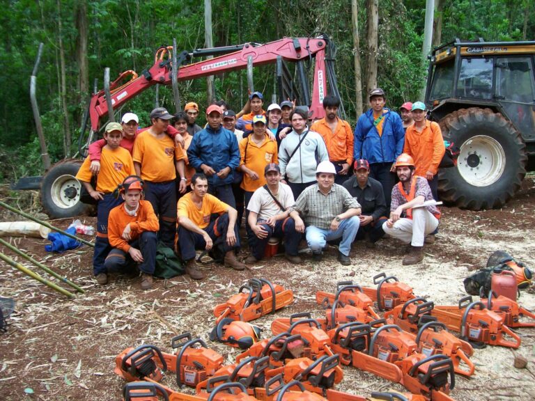 El trabajo en el sector forestal argentino es modelo global por sus prácticas en seguridad laboral, según la OIT