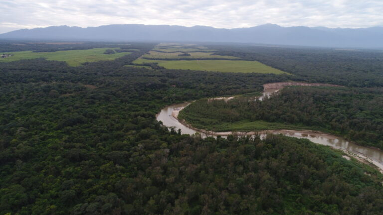 El Gran Chaco Americano y su aporte al sistema hídrico, conservación de los bosques y regulación del clima