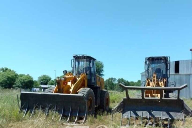 Santiago del Estero | En controles forestales detectaron en marzo desmontes ilegales en el sudeste y norte provincial